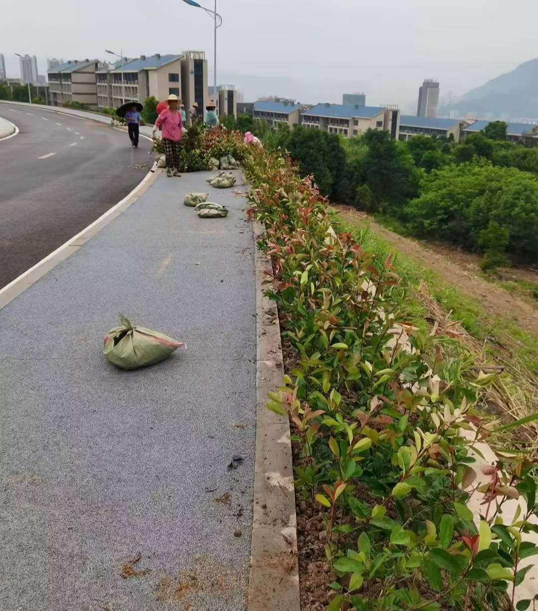 太阳成集团tyc122ccvip