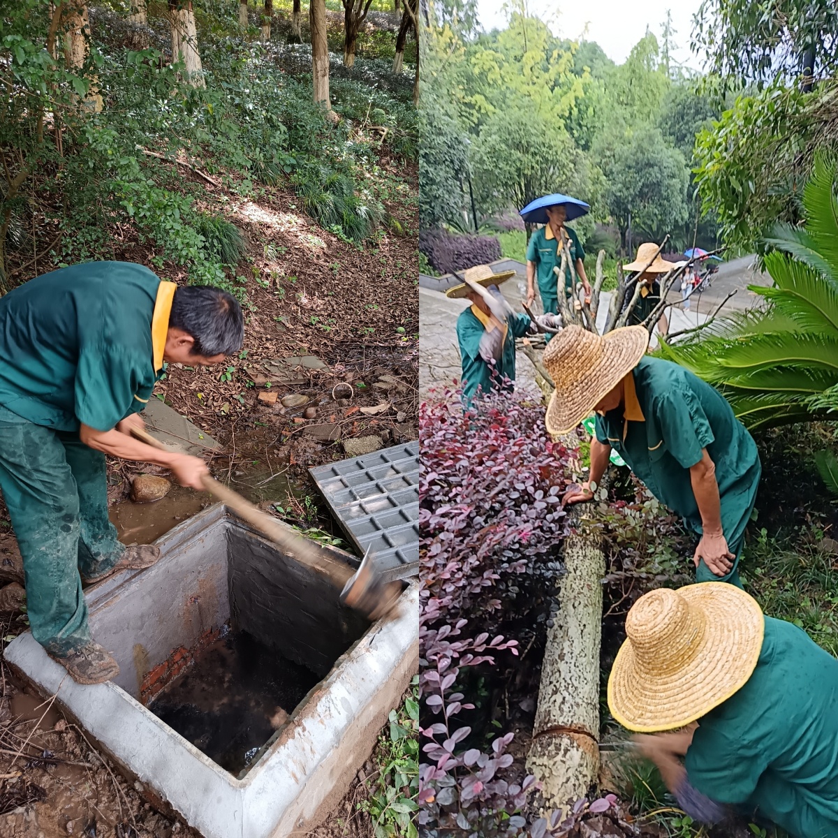 太阳成集团tyc122ccvip