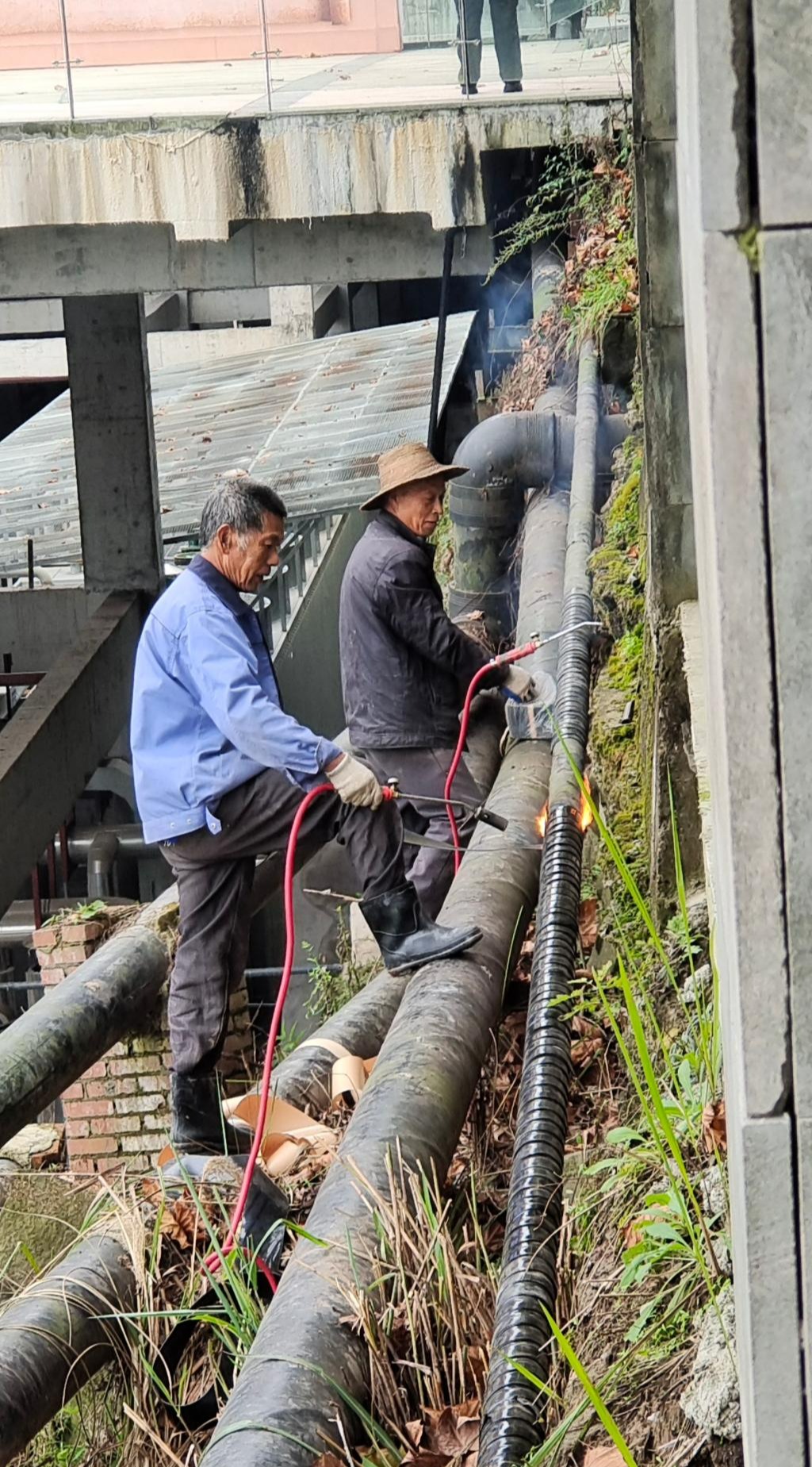 太阳成集团tyc122ccvip