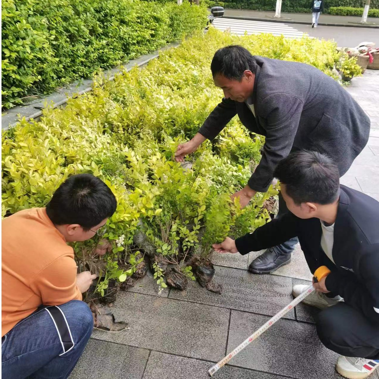 太阳成集团tyc122ccvip