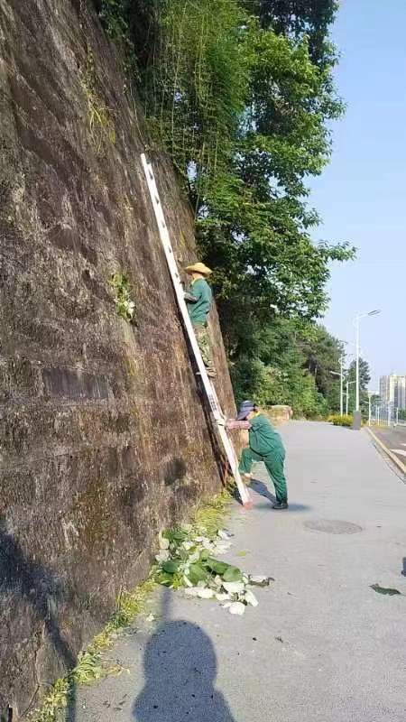 太阳成集团tyc122ccvip