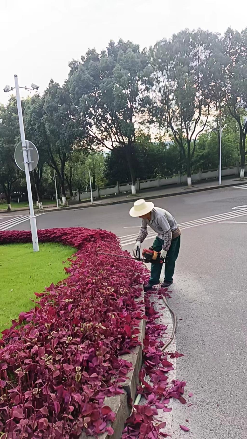 太阳成集团tyc122ccvip