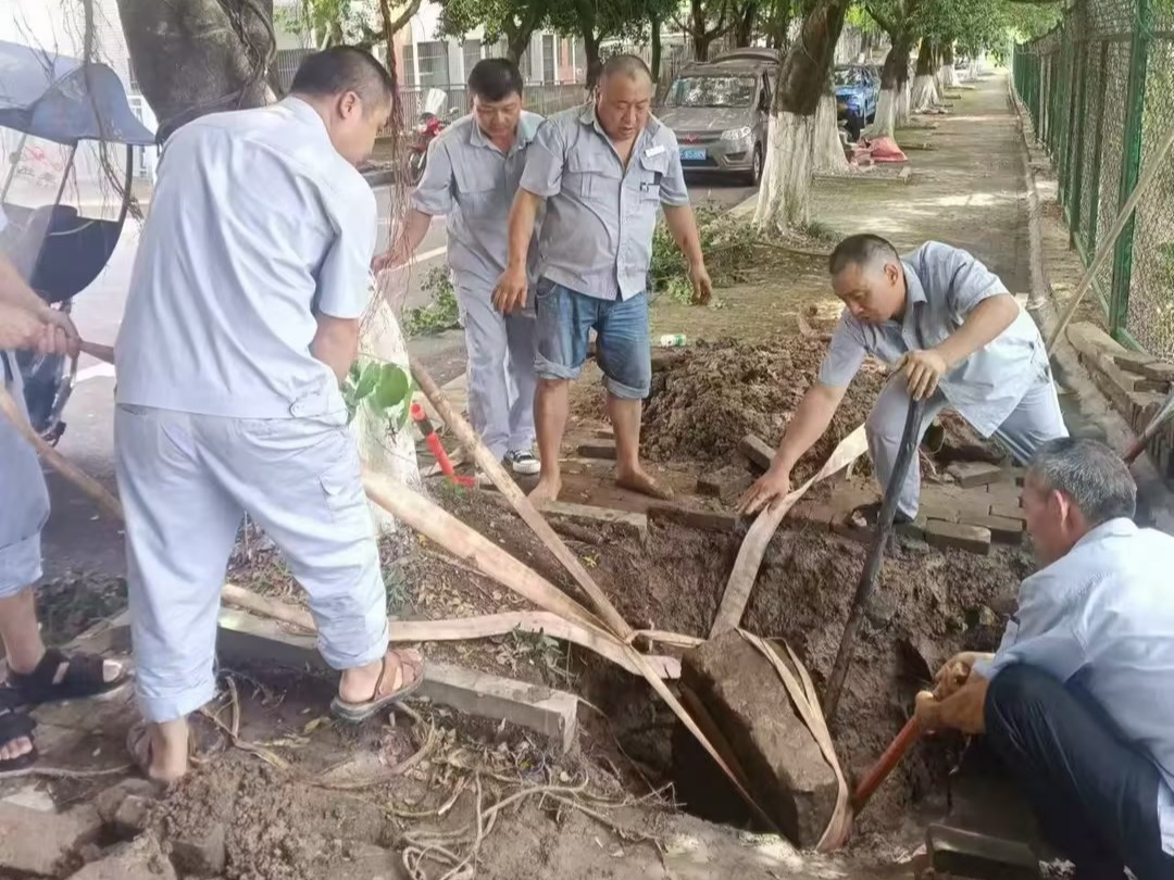 太阳成集团tyc122ccvip