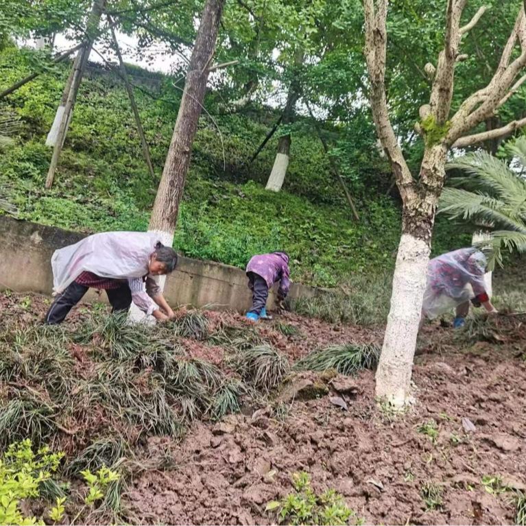 太阳成集团tyc122ccvip