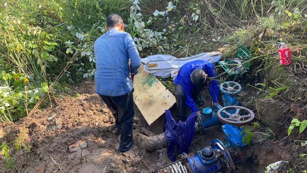 太阳成集团tyc122ccvip