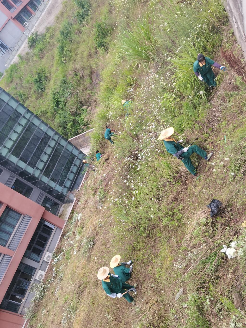 太阳成集团tyc122ccvip