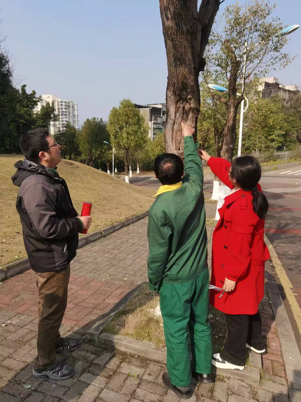 太阳成集团tyc122ccvip