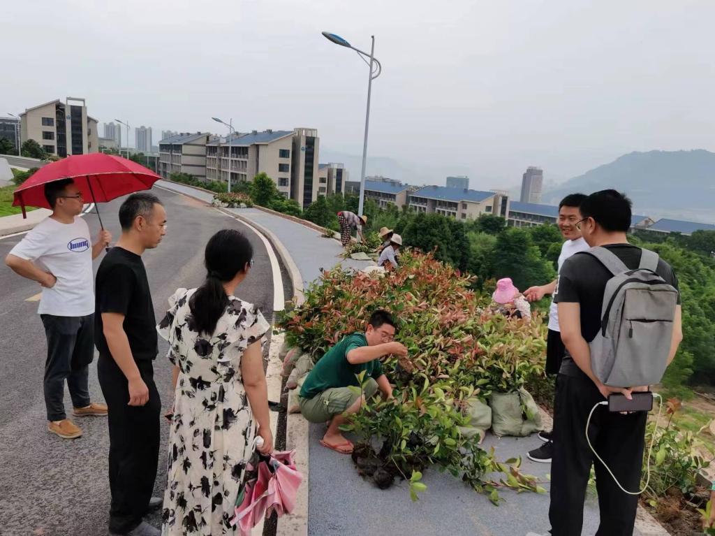 太阳成集团tyc122ccvip