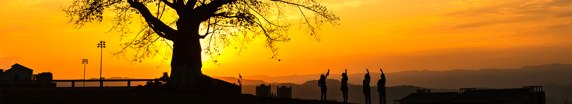 太阳成集团tyc122ccvip